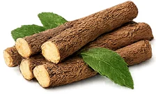 Parazicid — Lakritsinjuuriuute (Glycyrrhiza glabra)