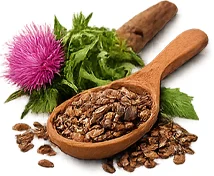 Parazicid — Maarianohdakkeen siemenuute (Silybum marianum)