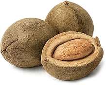 Parazicid — Terminalia bellerica (Bibhitaki), hedelmäuute